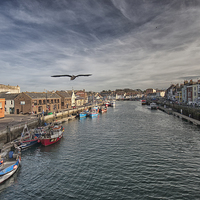 Buy canvas prints of  Weymouth Harbour. by Mark Godden