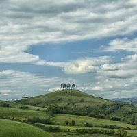 Buy canvas prints of  Colmers Hill. by Mark Godden
