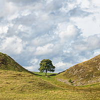 Buy canvas prints of Sycamore Gap.  by Mark Godden