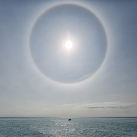Buy canvas prints of Halo by Mark Godden