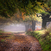 Buy canvas prints of Autumn Countryside by Rich Wiltshire