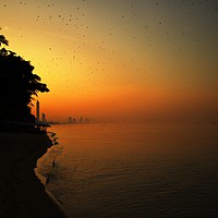 Buy canvas prints of Thailand golden hour at Jomtien beach by scott innes