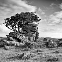 Buy canvas prints of  Moods of the Moor by Ray Abrahams