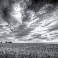 Buy canvas prints of Clouds Above by Ray Abrahams