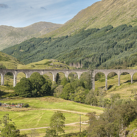 Buy canvas prints of  Glenfinnan Viaduct by Ray Abrahams