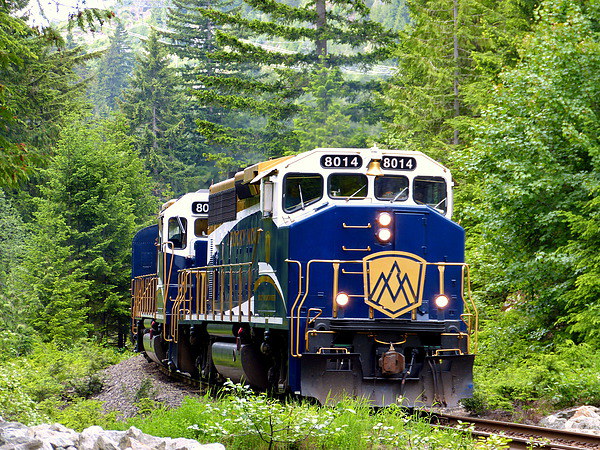  The Rocky Mountaineer Picture Board by Judith Lightfoot