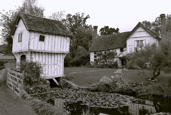 Romantic timber-framed manor house, Brockhampton,  Picture Board by Judith Lightfoot