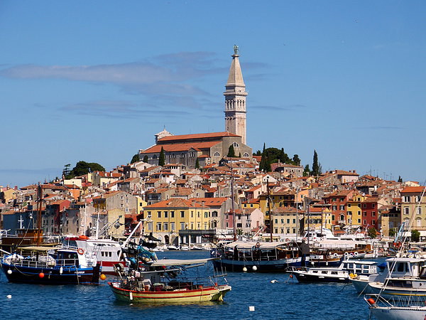  The spectacular town of Rovinj Croatia Picture Board by Judith Lightfoot