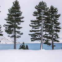 Buy canvas prints of  Snow Laden Lake Tekapo New Zealand by Judith Lightfoot