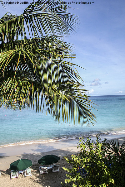  The Tranquil Beach Barbados Picture Board by Judith Lightfoot