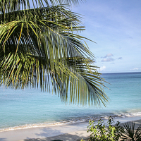 Buy canvas prints of  The Tranquil Beach Barbados by Judith Lightfoot