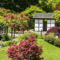 Buy canvas prints of  A Delightful Japanese Garden by Judith Lightfoot
