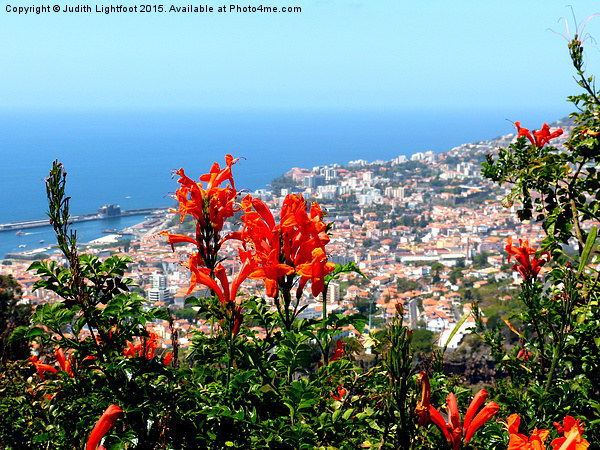  The Island of Flowers Madeira Picture Board by Judith Lightfoot