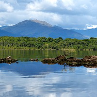 Buy canvas prints of The tranquil Loch Lommond by Judith Lightfoot