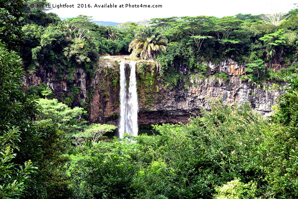 CHAMAREL WATERFALL MAURITIUS Picture Board by Judith Lightfoot