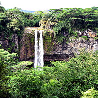Buy canvas prints of CHAMAREL WATERFALL MAURITIUS by Judith Lightfoot