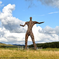 Buy canvas prints of THE WICKER MAN SCOTLAND by Judith Lightfoot