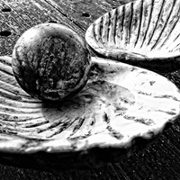 Buy canvas prints of Shell and Pearl by Florin Birjoveanu
