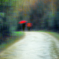 Buy canvas prints of  Walk In The Rain  by Florin Birjoveanu