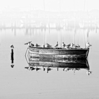 Buy canvas prints of  RESTING ON A BOAT B&W  by Florin Birjoveanu