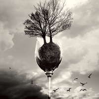 Buy canvas prints of Glass Of Tree B&W by Florin Birjoveanu