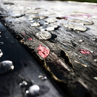 Buy canvas prints of Wet Ground by Florin Birjoveanu