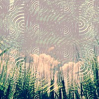 Buy canvas prints of Clouds Grasses by Florin Birjoveanu