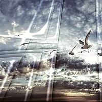 Buy canvas prints of Heaven's Gate With Birds by Florin Birjoveanu
