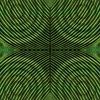 Buy canvas prints of Mused Deformation Green by Florin Birjoveanu