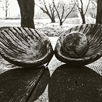 Buy canvas prints of Shell With Pearl Bw by Florin Birjoveanu