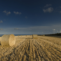 Buy canvas prints of  Harvest View by Richard Taylor