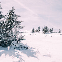 Buy canvas prints of Winter Trees Landscape by Patrycja Polechonska