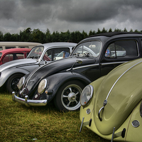 Buy canvas prints of  VW Beetles by shawn bullock