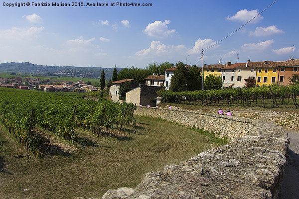  Landscape and vineyards in Italy Picture Board by Fabrizio Malisan