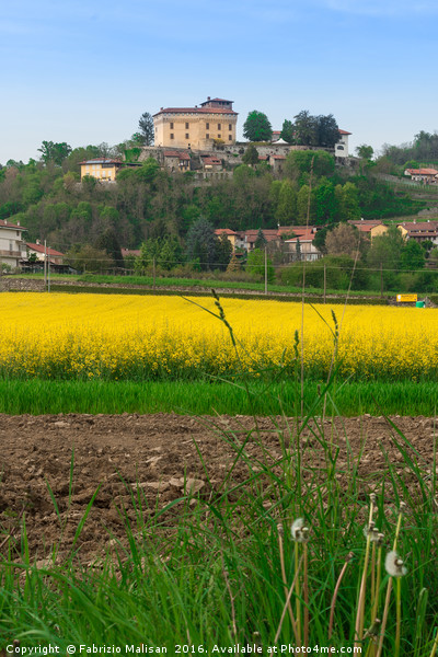 Colorful Fields By Castello di Roppolo in Piedmont Picture Board by Fabrizio Malisan