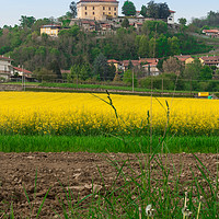Buy canvas prints of Colorful Fields By Castello di Roppolo in Piedmont by Fabrizio Malisan