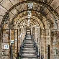 Buy canvas prints of Inside The Viaduct de Chaumont France by Fabrizio Malisan