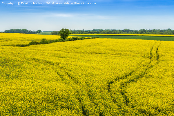 Colourful Fields of France Picture Board by Fabrizio Malisan