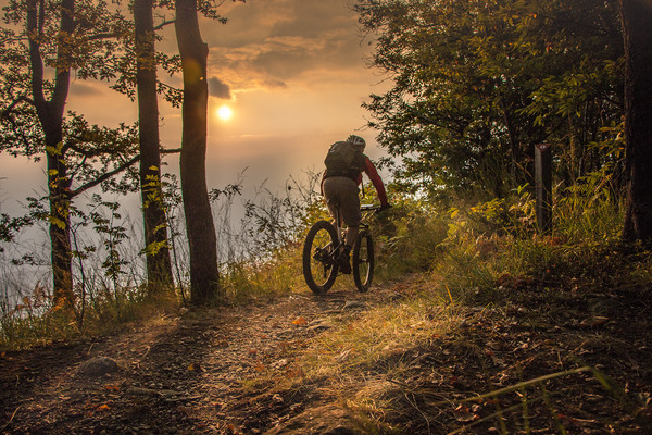 Mountain biking till the sunset Picture Board by Fabrizio Malisan
