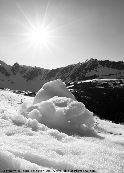 Spring Snow in Black and White Picture Board by Fabrizio Malisan