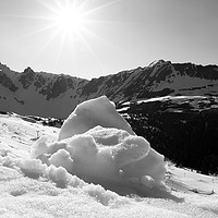 Buy canvas prints of Spring Snow in Black and White by Fabrizio Malisan