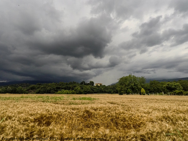 Threatening Sky Over Wheat Fields Picture Board by Fabrizio Malisan