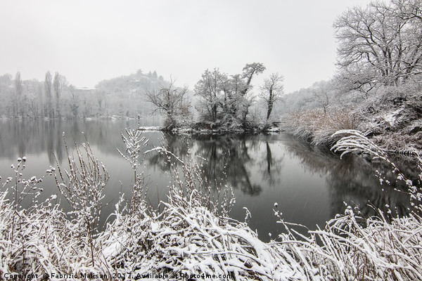 It's all frosty around the lake Picture Board by Fabrizio Malisan