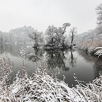 Buy canvas prints of It's all frosty around the lake by Fabrizio Malisan