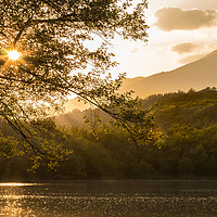 Buy canvas prints of Sunset through the trees over the lake- by Fabrizio Malisan