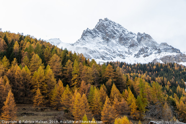 Autumn Foliage Trees Mountain Peak Picture Board by Fabrizio Malisan