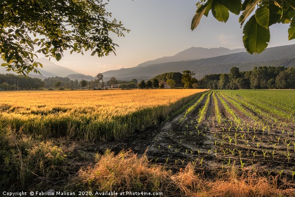 Sunset Light Over The Fields - Fabulous Outdoors @ Picture Board by Fabrizio Malisan