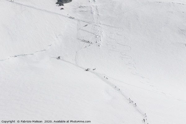 Ski Alpinists on the way to the Breithorn Mountain Picture Board by Fabrizio Malisan