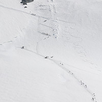 Buy canvas prints of Ski Alpinists on the way to the Breithorn Mountain by Fabrizio Malisan