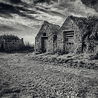 Buy canvas prints of Out house by Scott & Scott